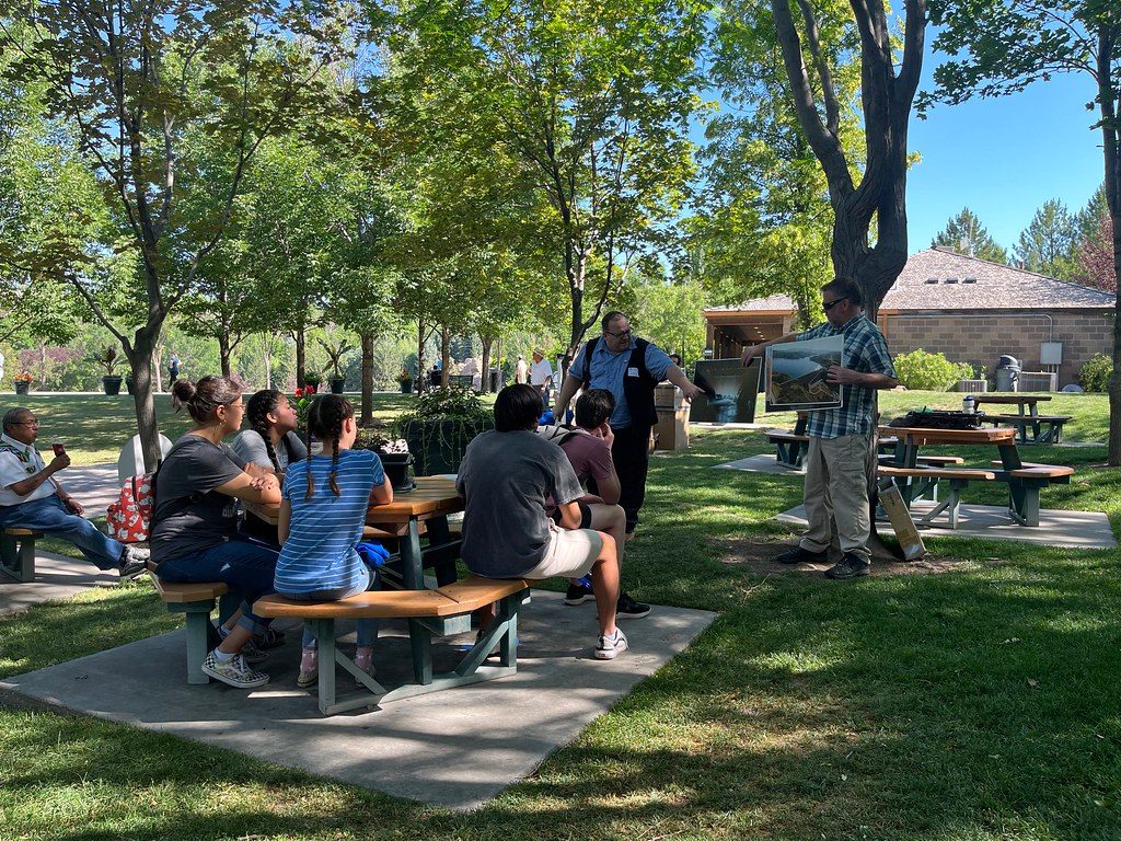 Families eating together at picnic tables under the trees